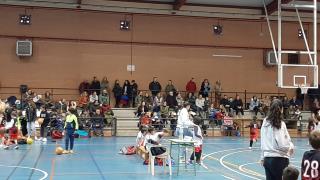 Fotografías 1/12/2023 (Baloncesto Pre-benjamín)
